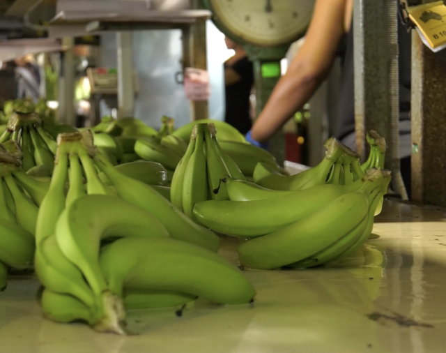 The role of the Australian Banana Growers' Council (ABGC)